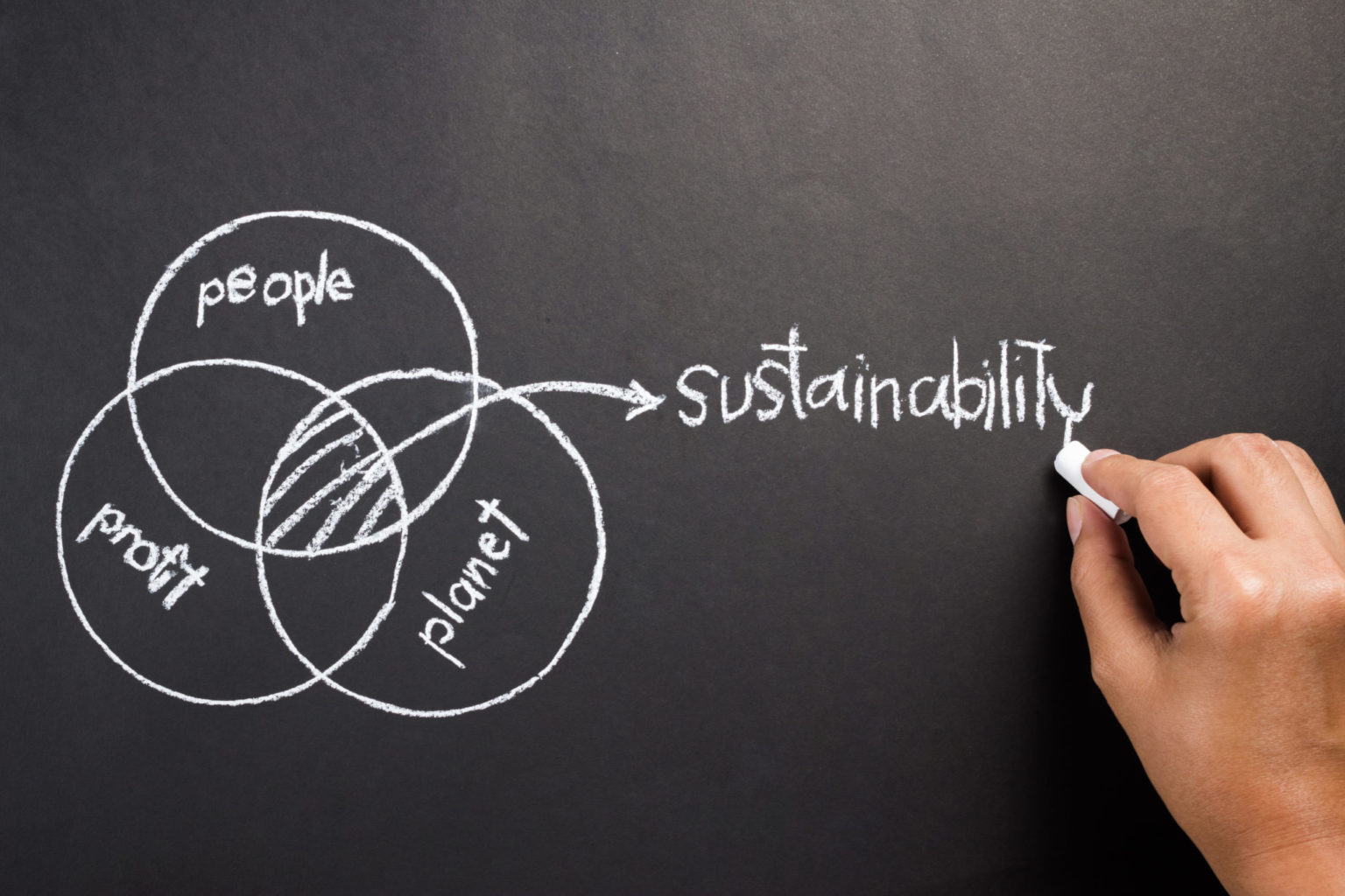 Sustainability Consulting Warm Springs Consulting