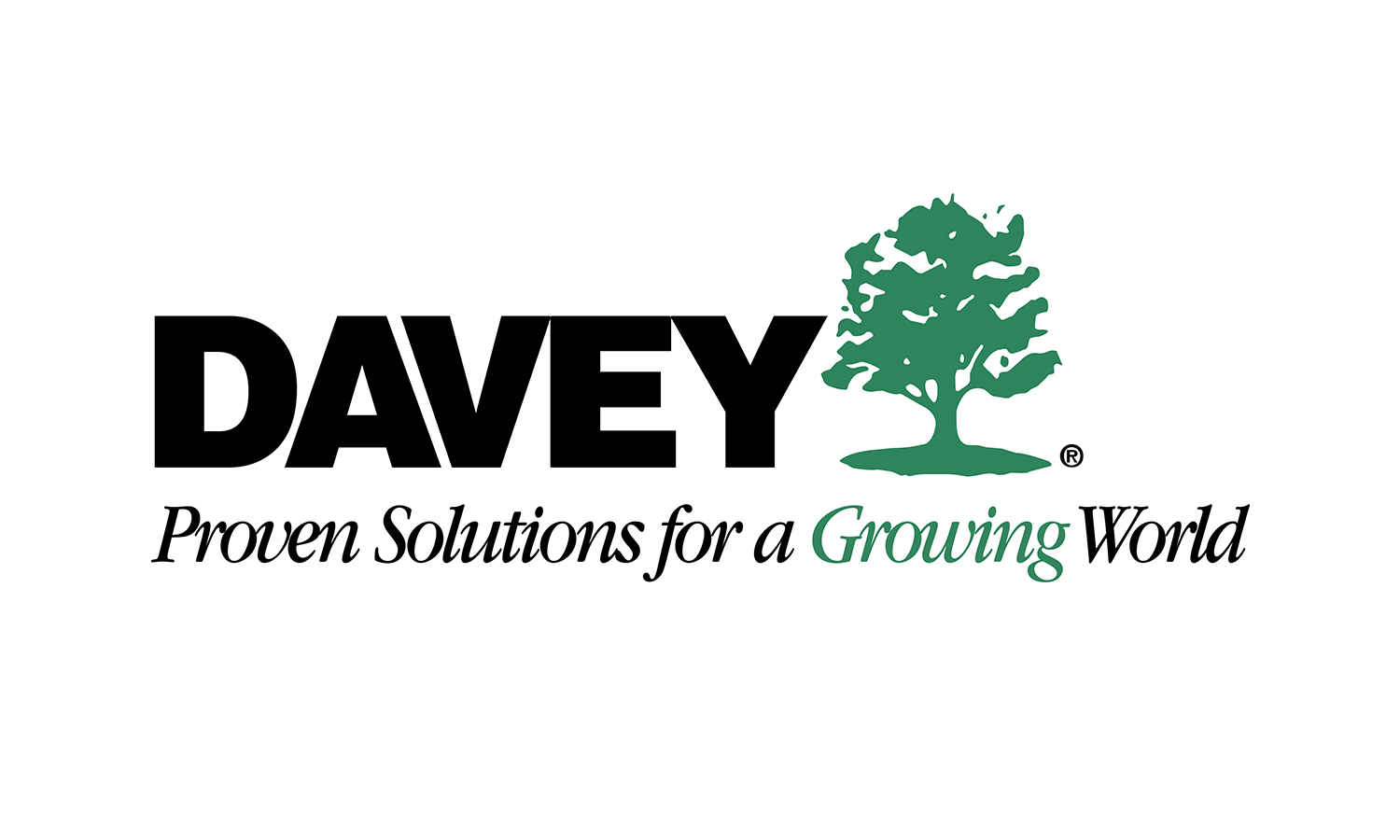 daveytree daveytree