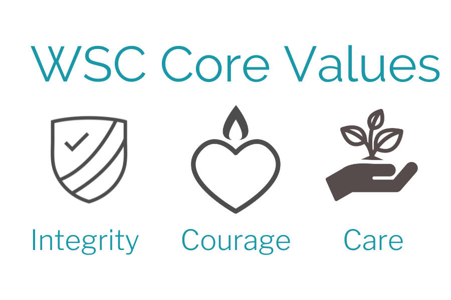 Core Values - The DNA of a Company - Warm Springs Consulting