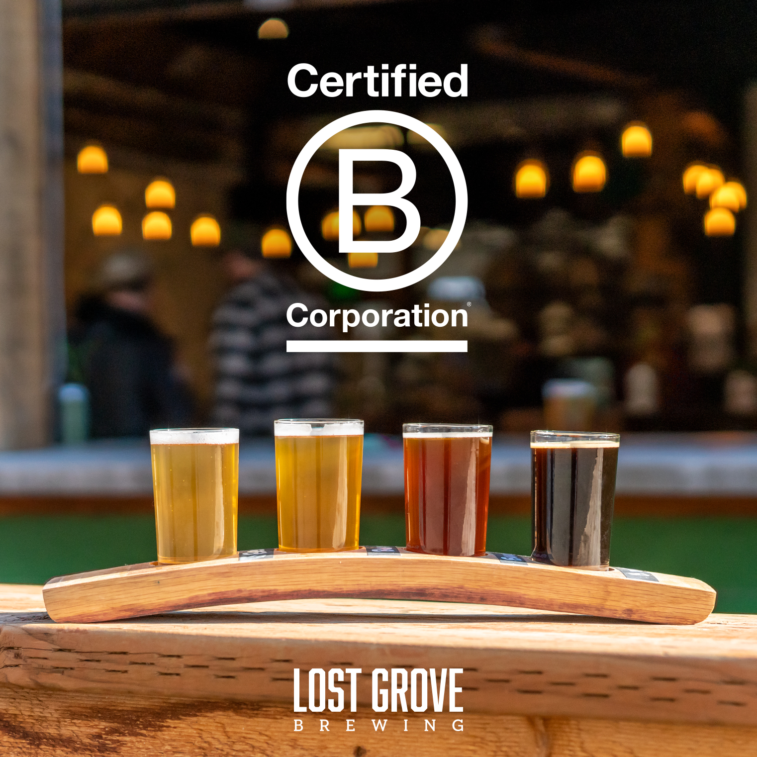 Lost Grove Brewing